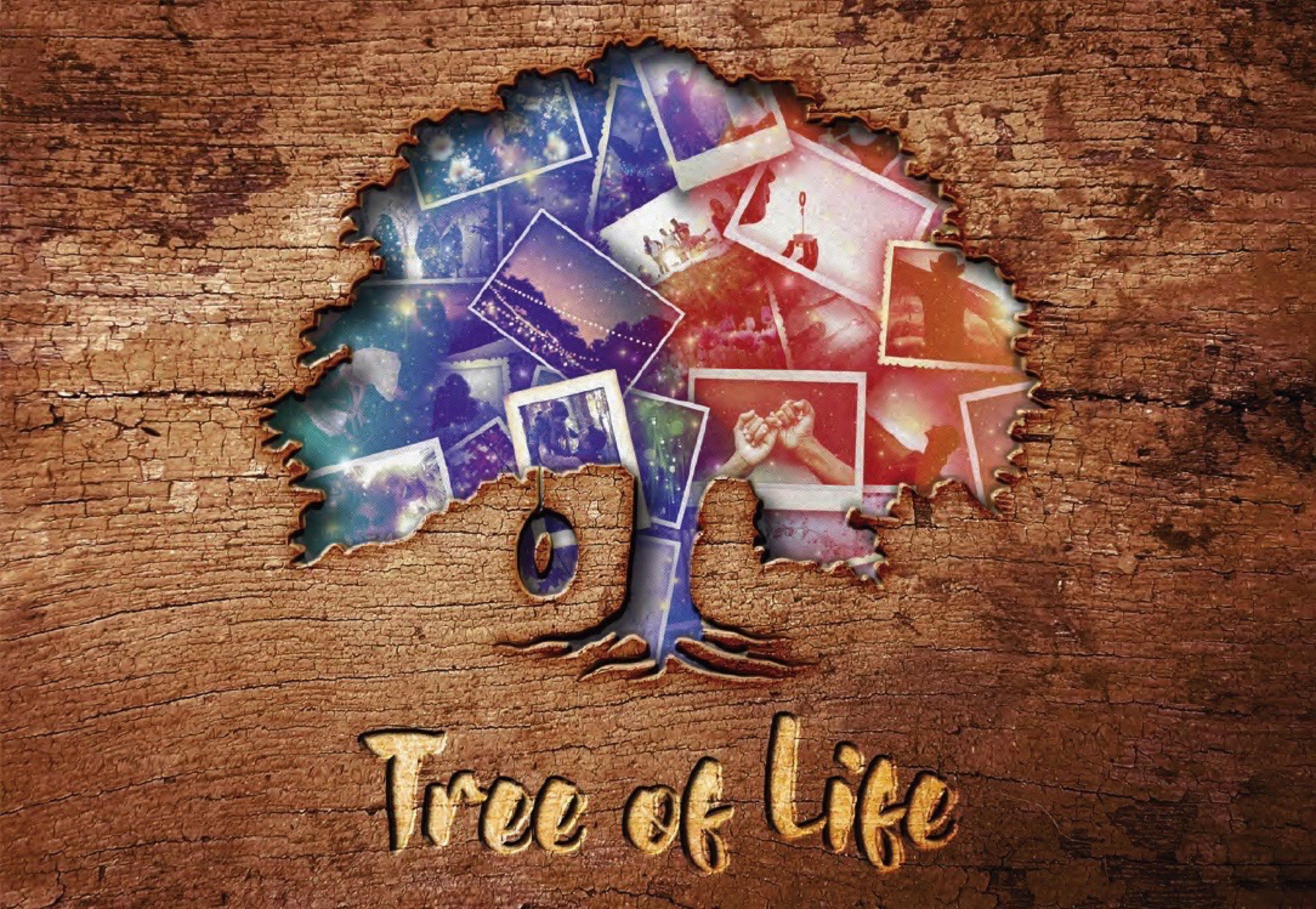 Celebrity Reflection - Shows